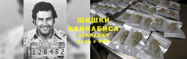 сатива Алексин