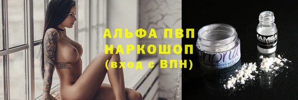 сатива Алексин