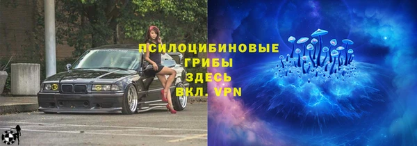 spice Осташков