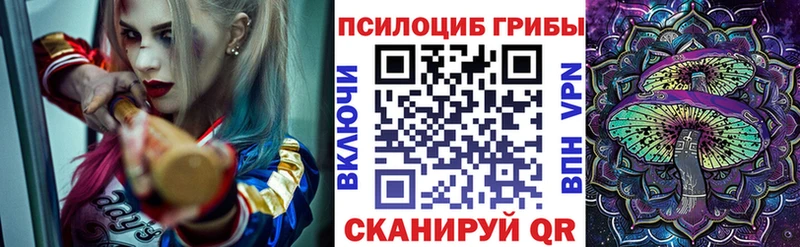 hydra ССЫЛКА  Ясный  Галлюциногенные грибы Magic Shrooms  что такое  