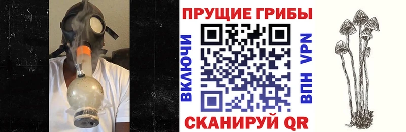 Галлюциногенные грибы прущие грибы Ясный